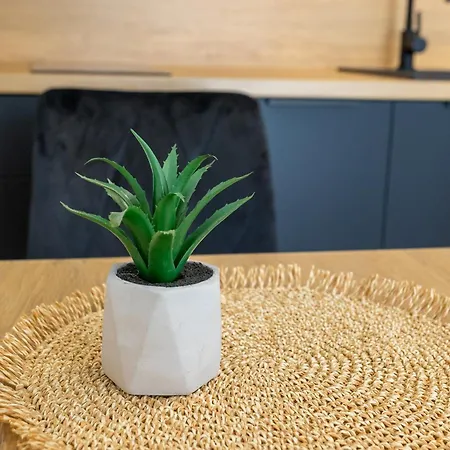Ds Apartamenty Jasminowa Zator Zewnętrze zdjęcie